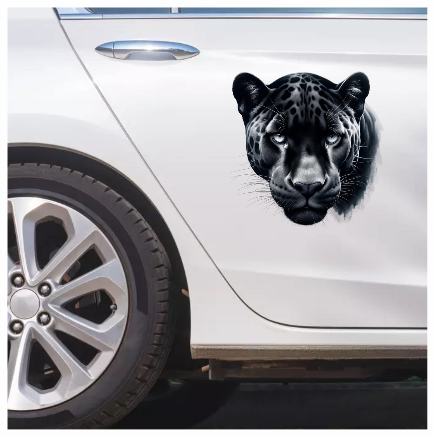 Black Leopard Eyes Vinyl Sticker Decal