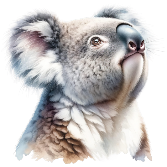 Koala Grey Fur Cute Animal Vinyl Sticker Decal