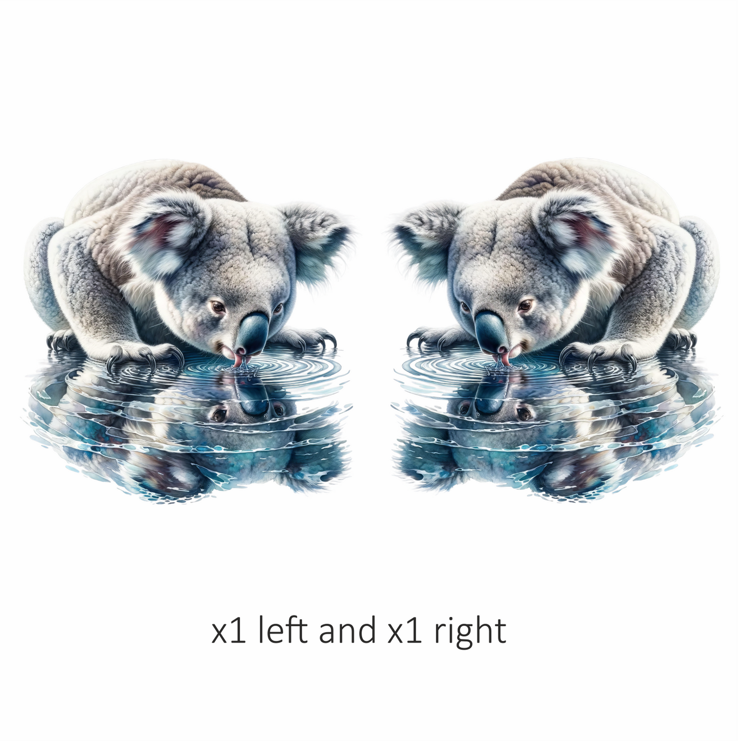 Grey Koala Drinking Water Reflection Vinyl Sticker Decal