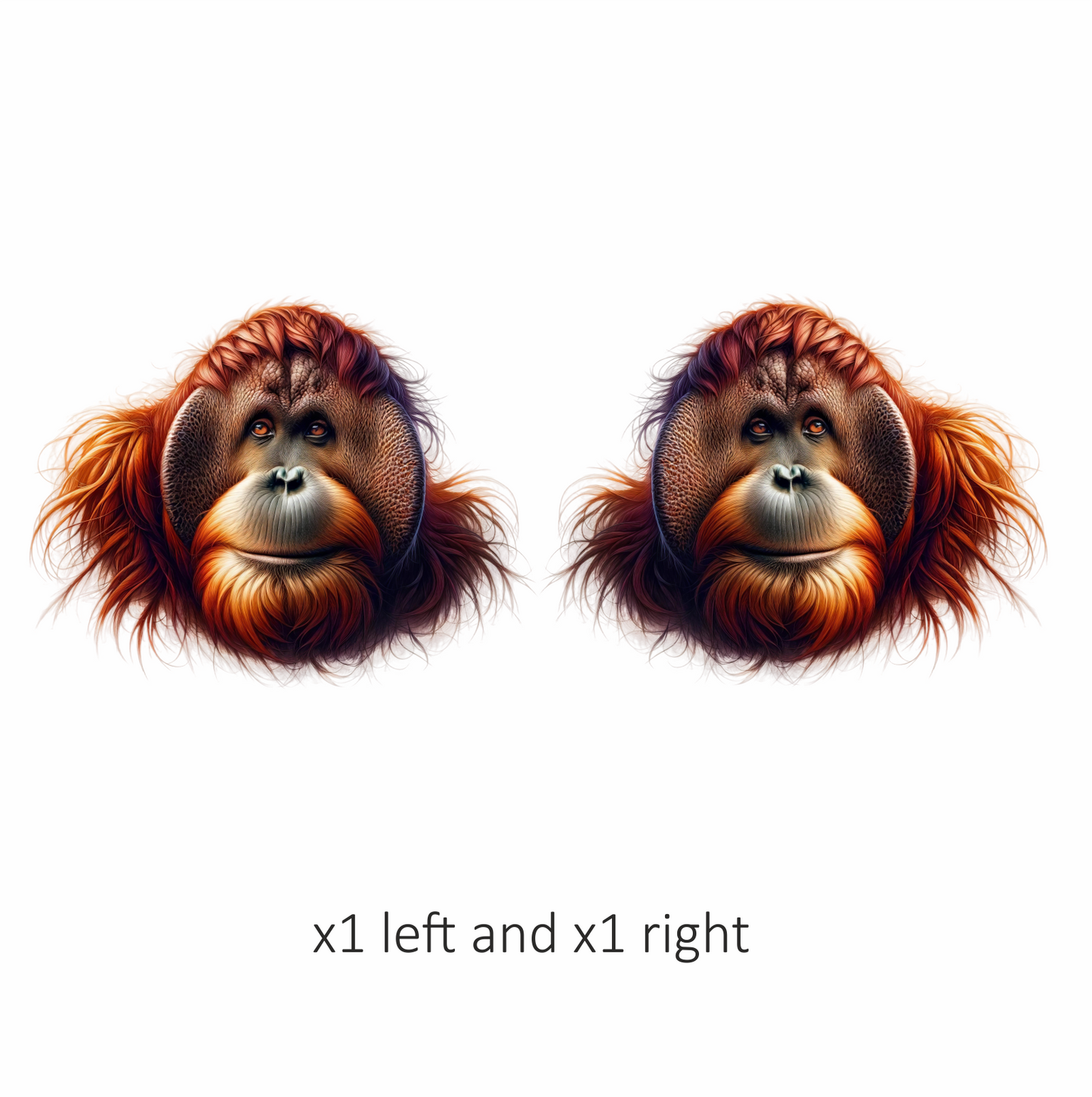 Orangutan Orange Fur Vinyl Sticker Decal