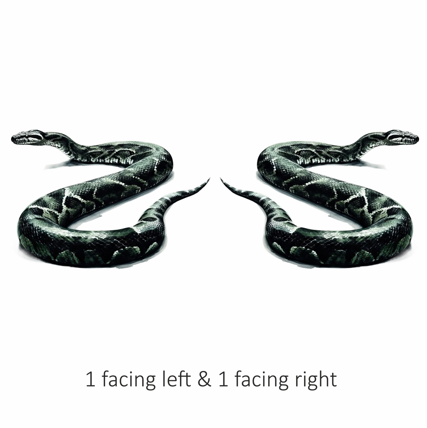 Green Snake Python Vinyl Sticker Decal