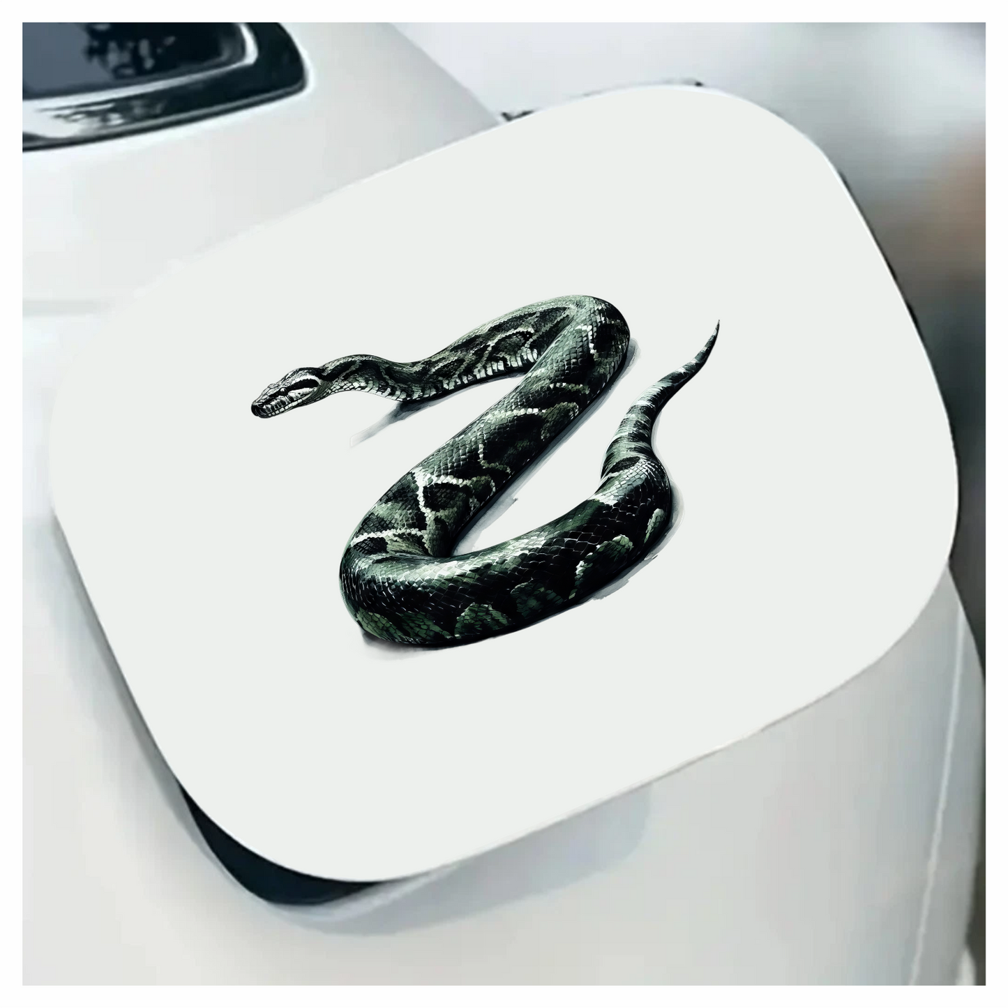 Green Snake Python Vinyl Sticker Decal