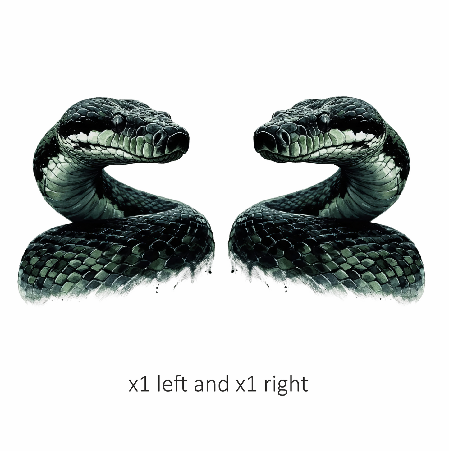 Black Snake Serpent Glossy Scales Sharp Vinyl Sticker Decal