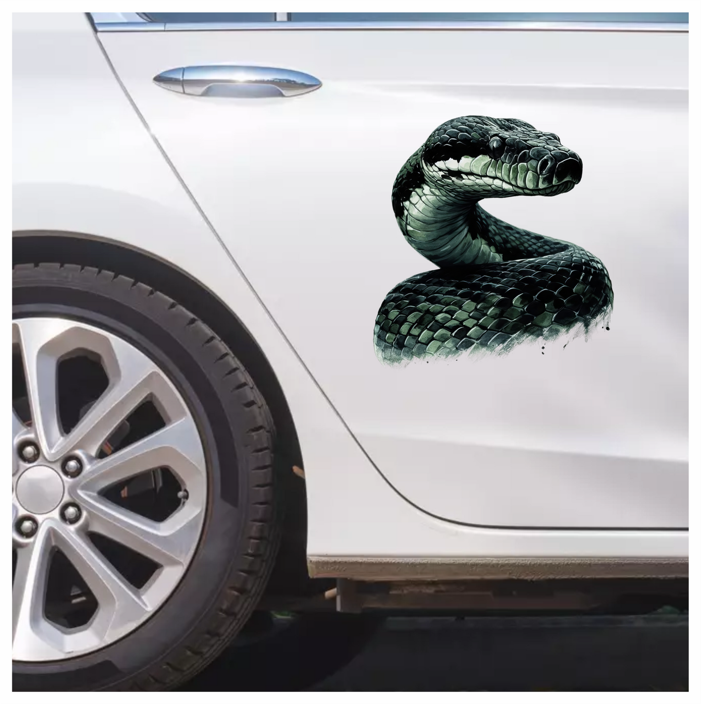 Black Snake Serpent Glossy Scales Sharp Vinyl Sticker Decal