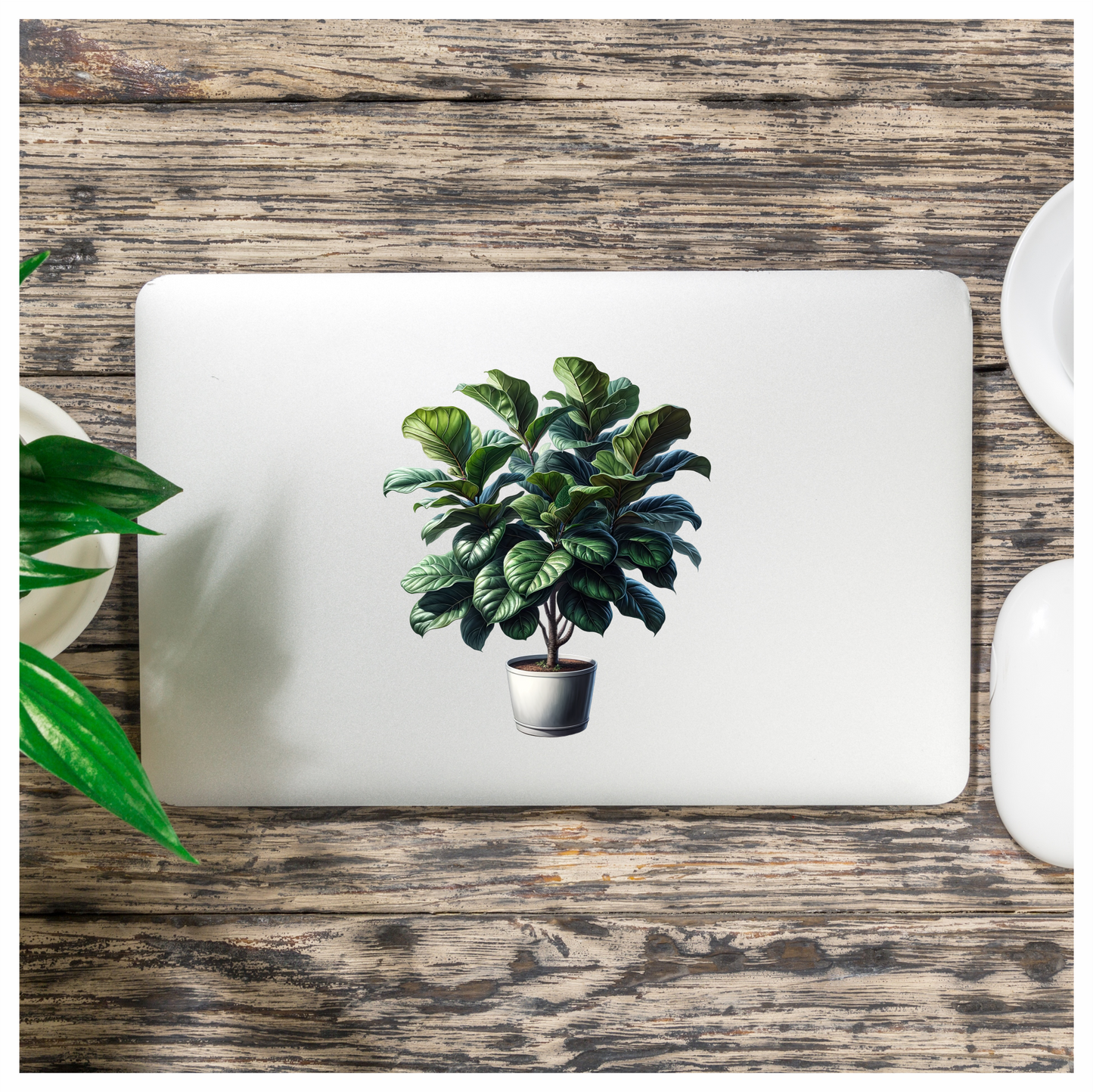 Bonsai Tree Green Pot Grass Vinyl Sticker Decal