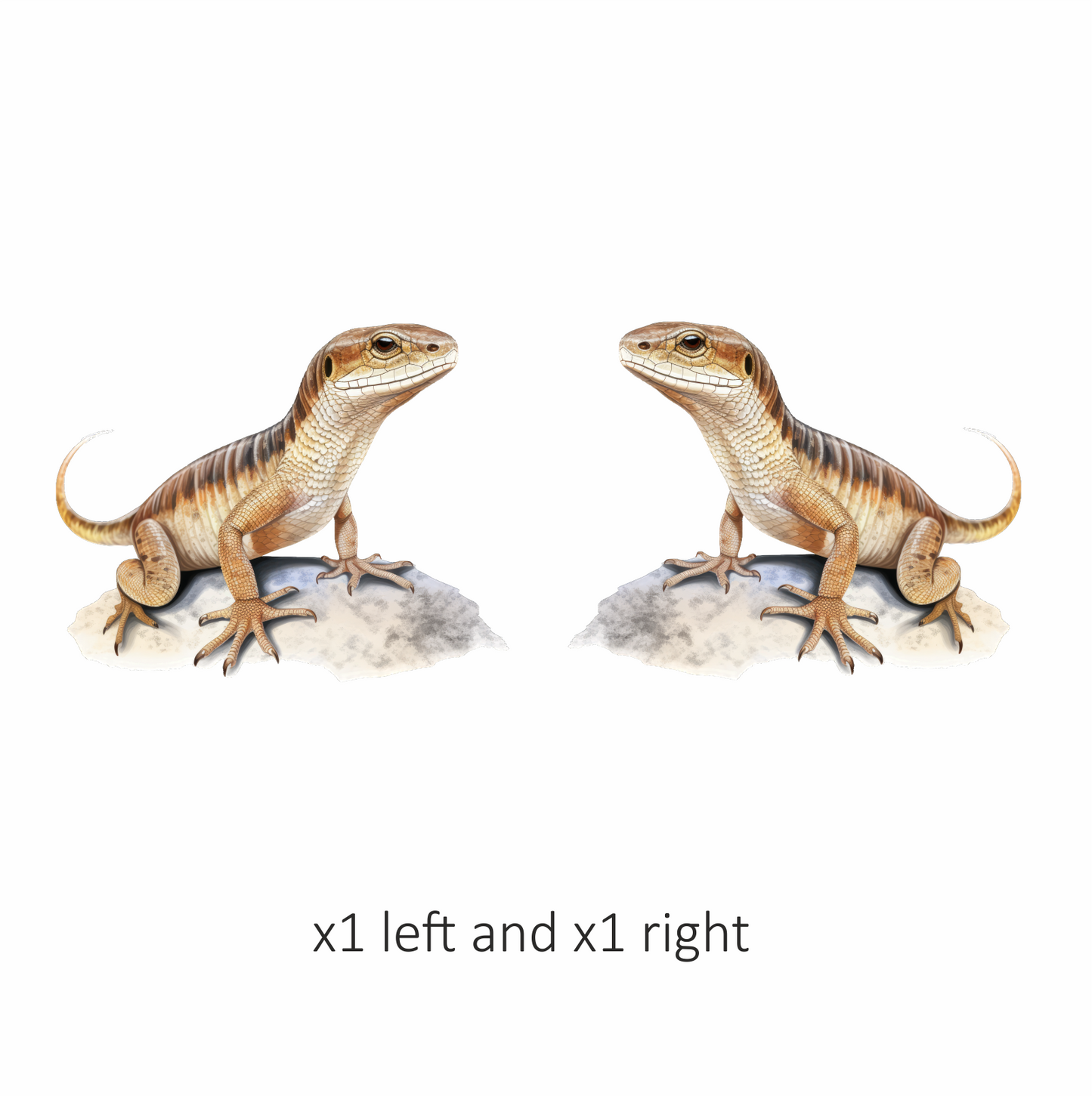 Lizard Brown Desert Skink Animal Sticker Vinyl Sticker Decal