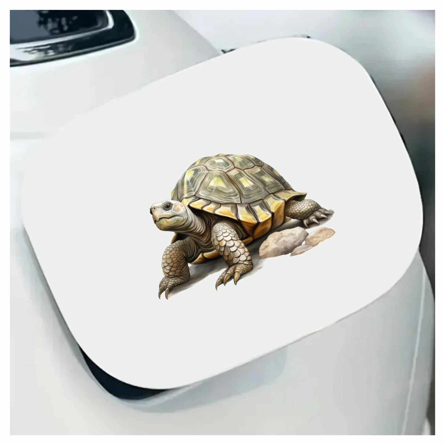 Tortoise Yellow Shell Rocks Vinyl Sticker Decal