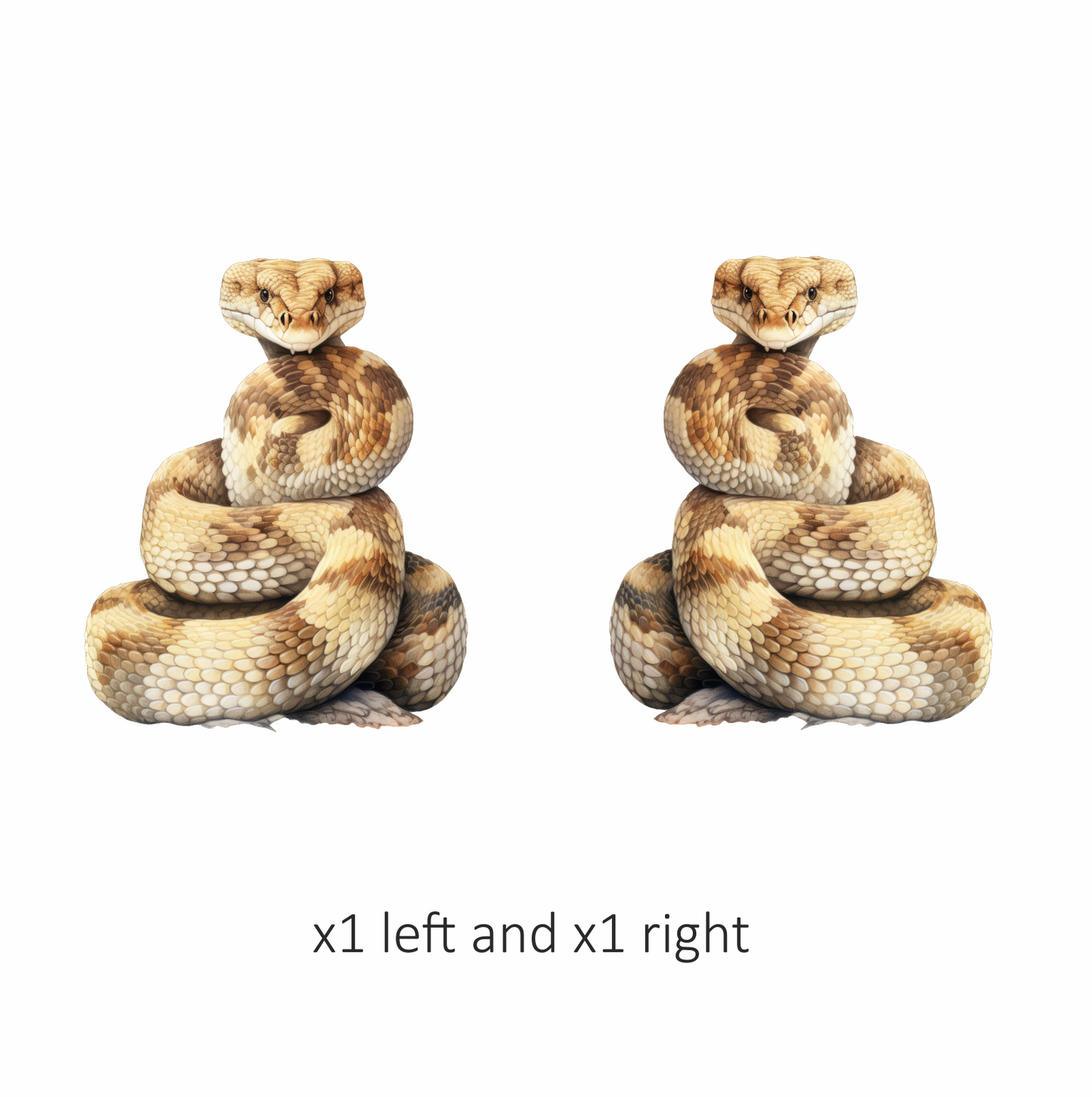 Brown Snake Coiled Rattlesnake Scaly Detailed Vinyl Sticker Decal