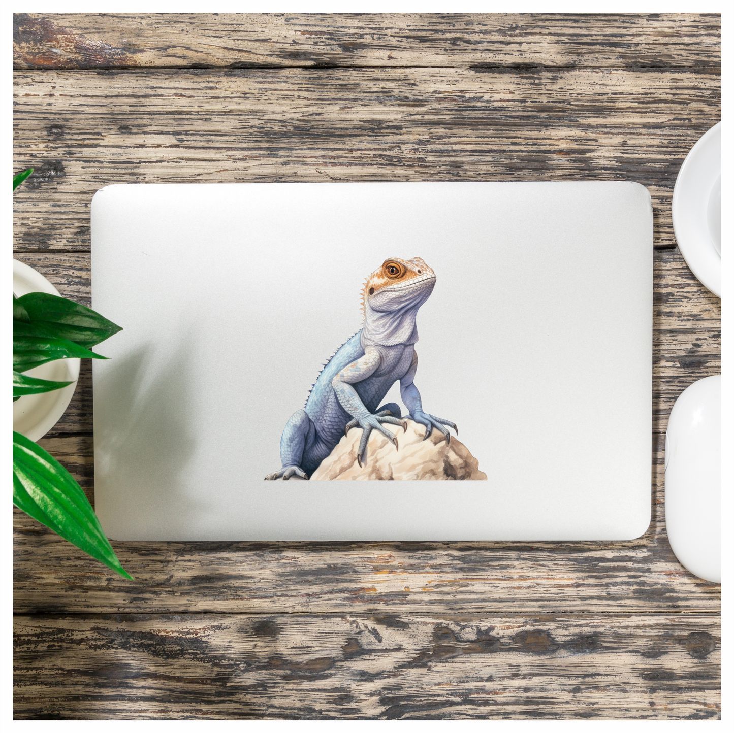 Blue Lizard Rock Desert Vinyl Sticker Decal