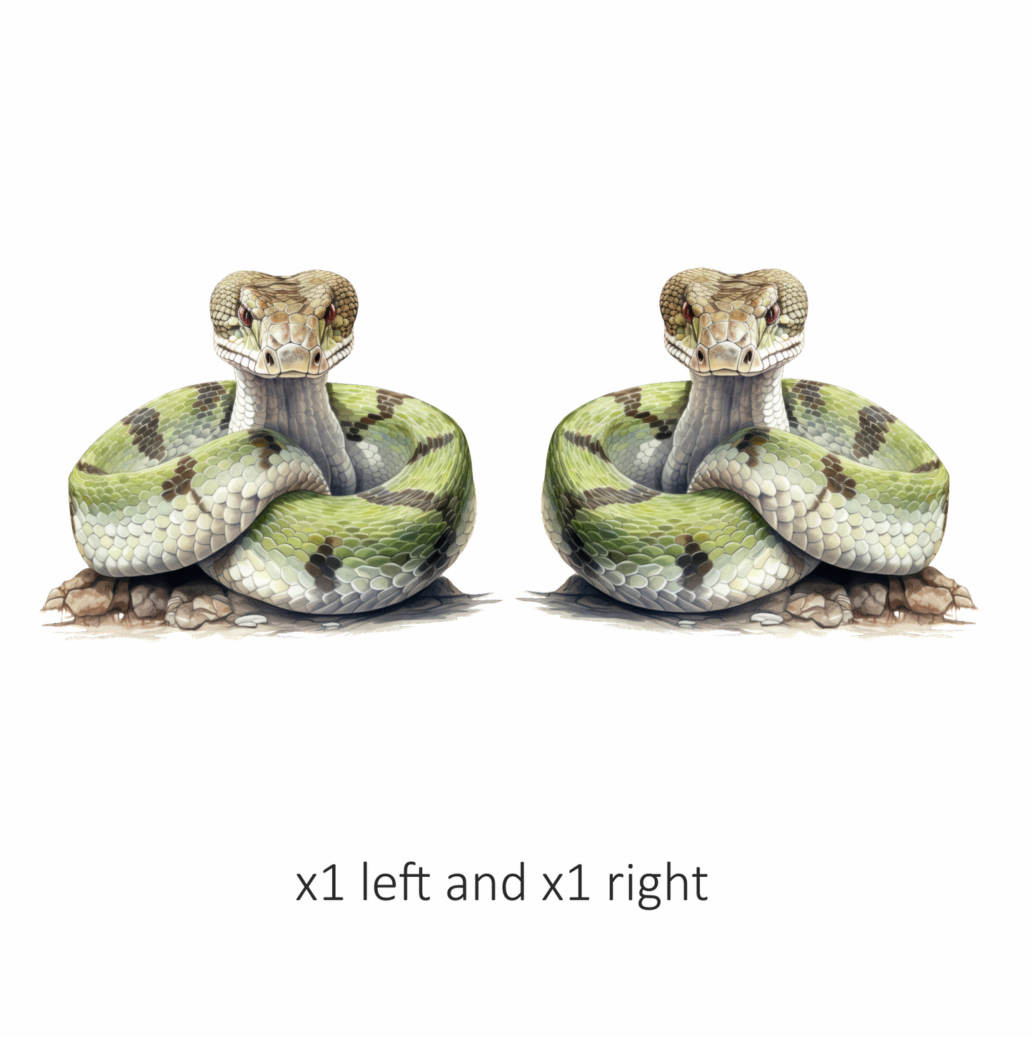 Green Snake Coiled Realistic Detailed Vinyl Sticker Decal