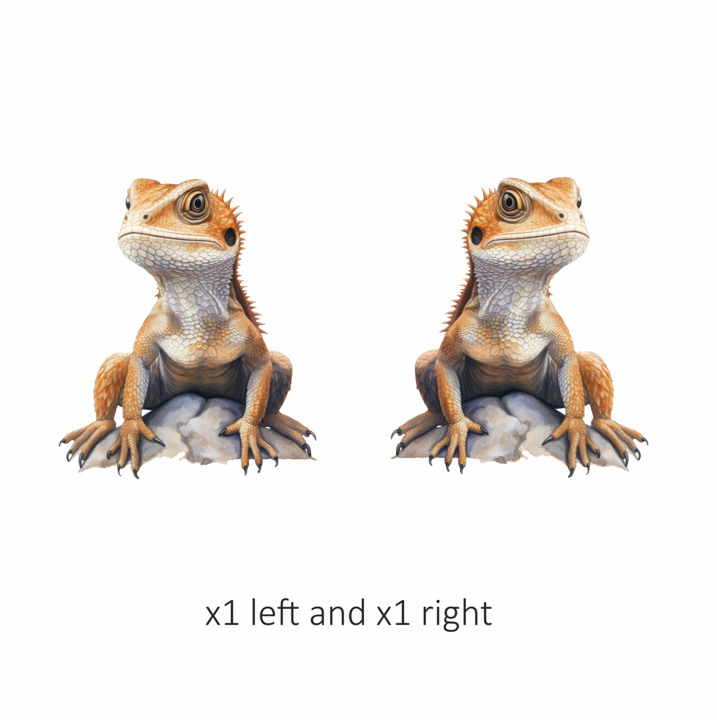 Bearded Dragon Orange Rock Vinyl Sticker Decal