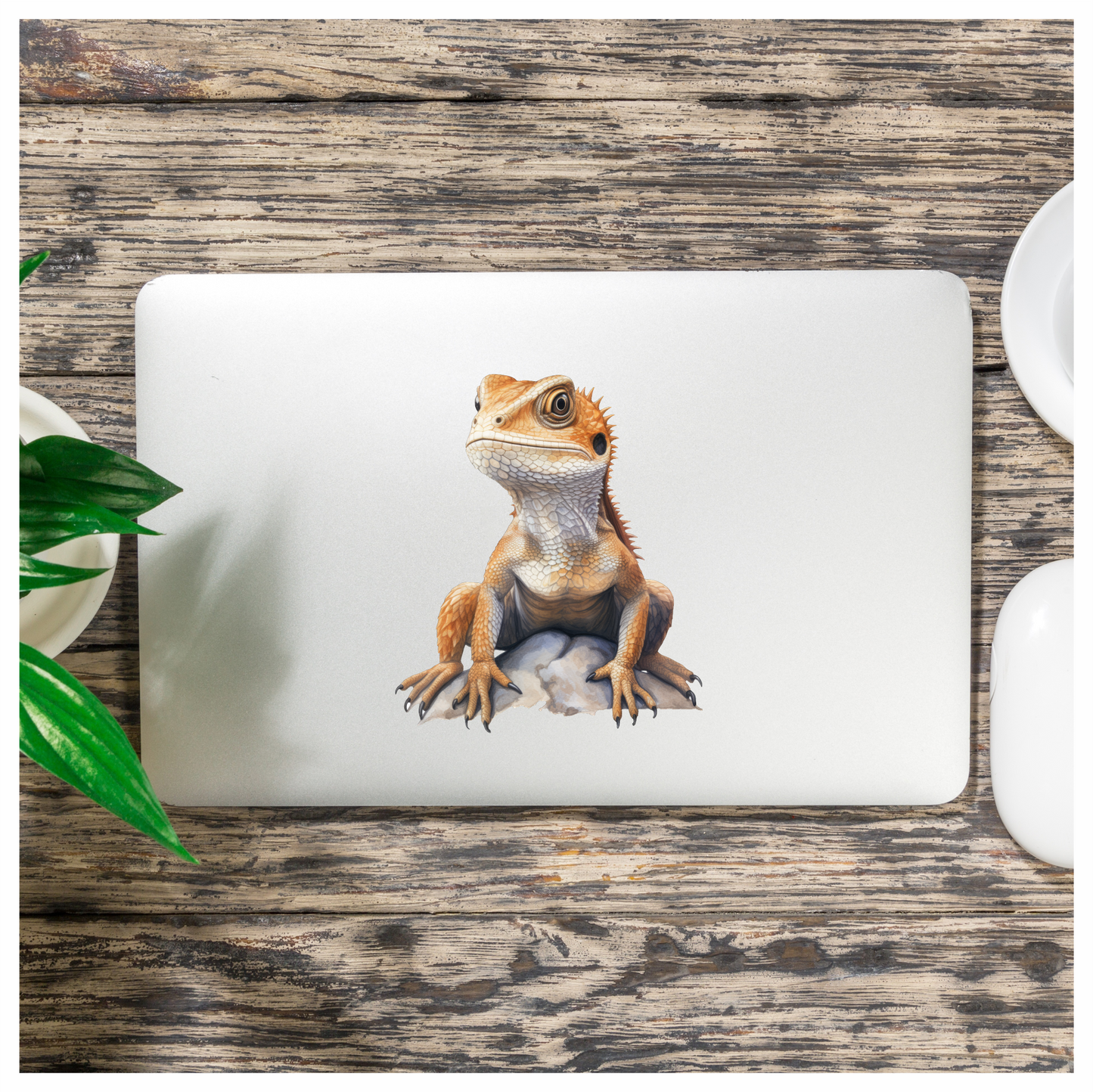 Bearded Dragon Orange Rock Vinyl Sticker Decal
