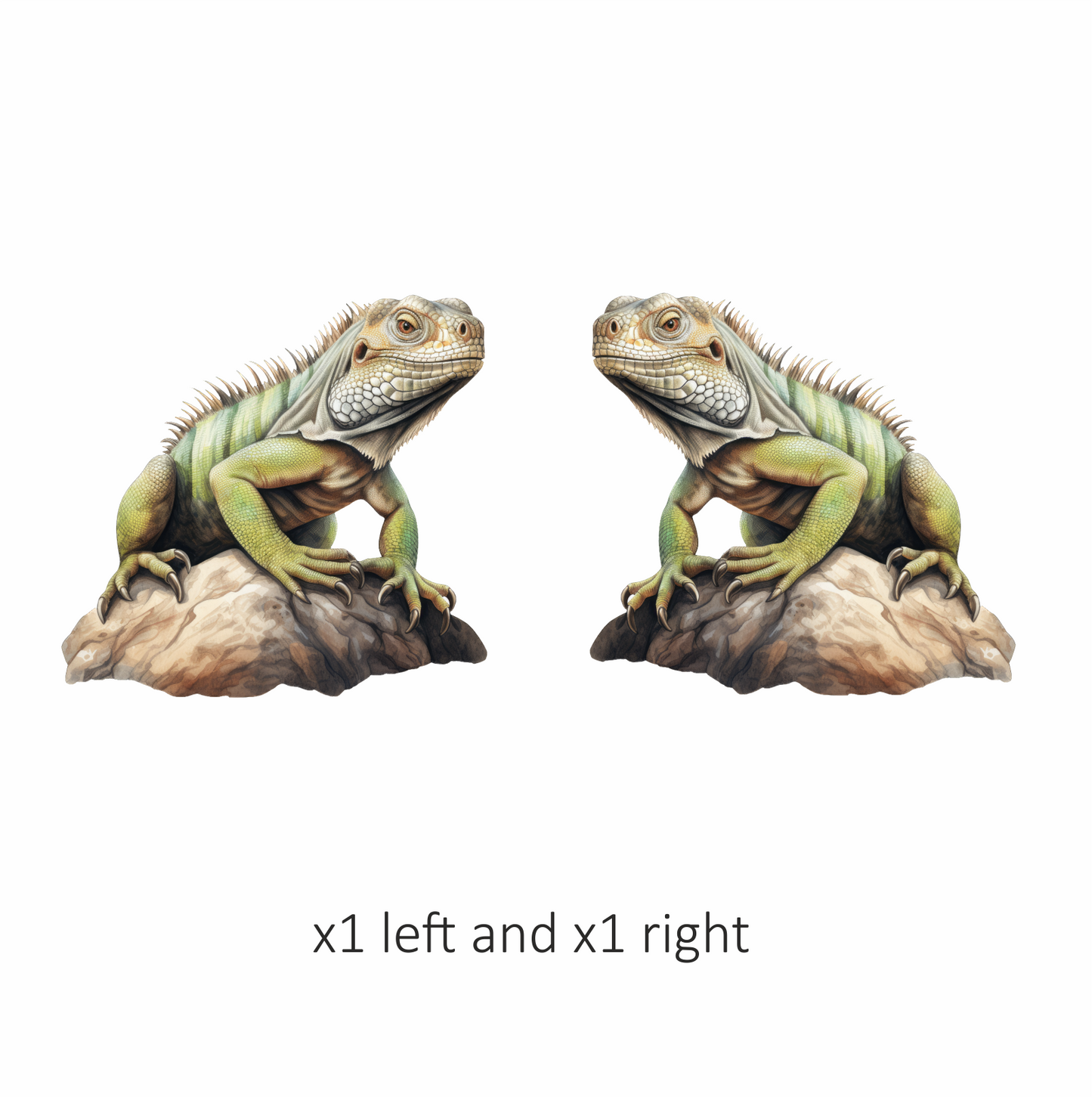Iguana Green Rock Reptile Scales Texture Vinyl Sticker Decal