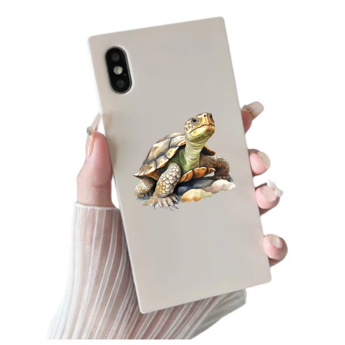 Turtle Green Desert Vinyl Sticker Decal