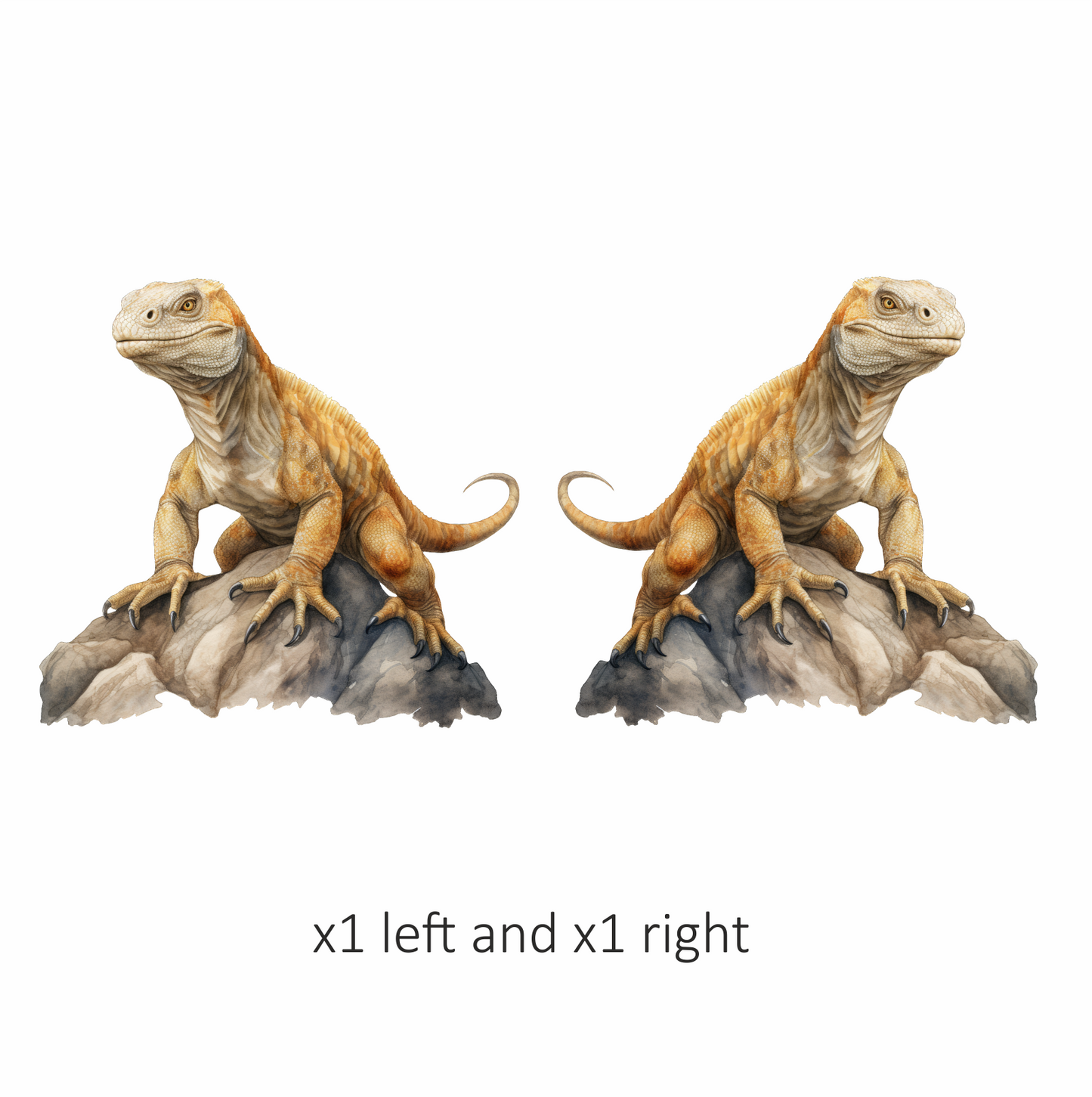 Iguana Brown Rock Vinyl Sticker Decal