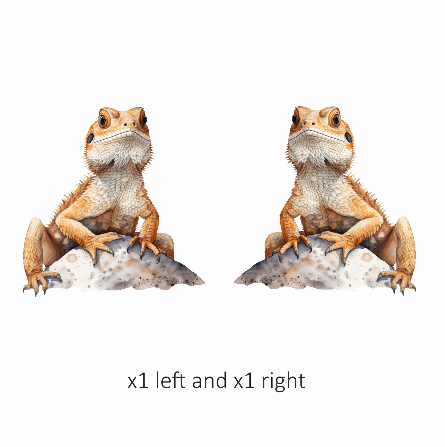 Bearded Dragon Orange Rock Vinyl Sticker Decal