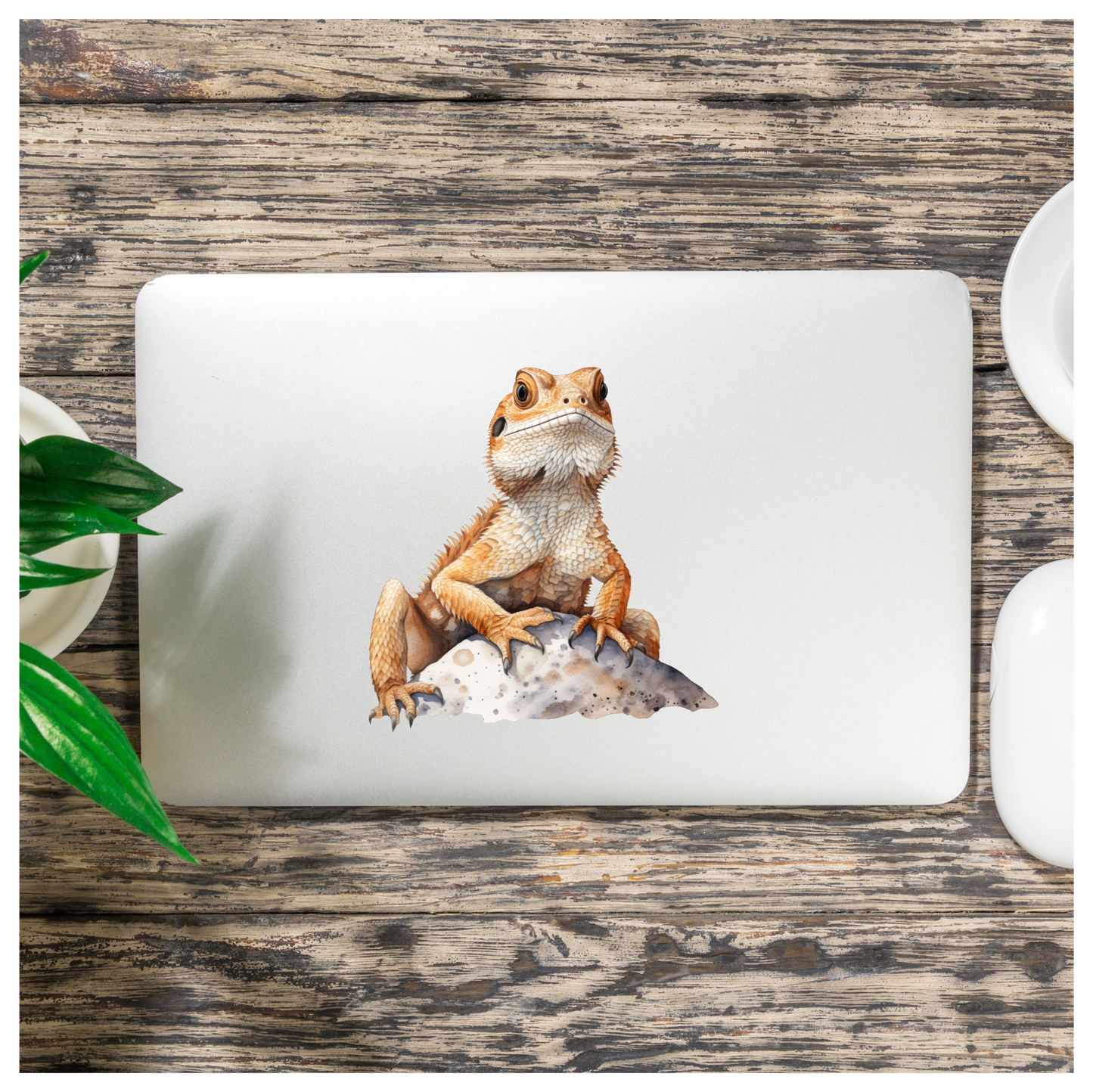 Bearded Dragon Orange Rock Vinyl Sticker Decal