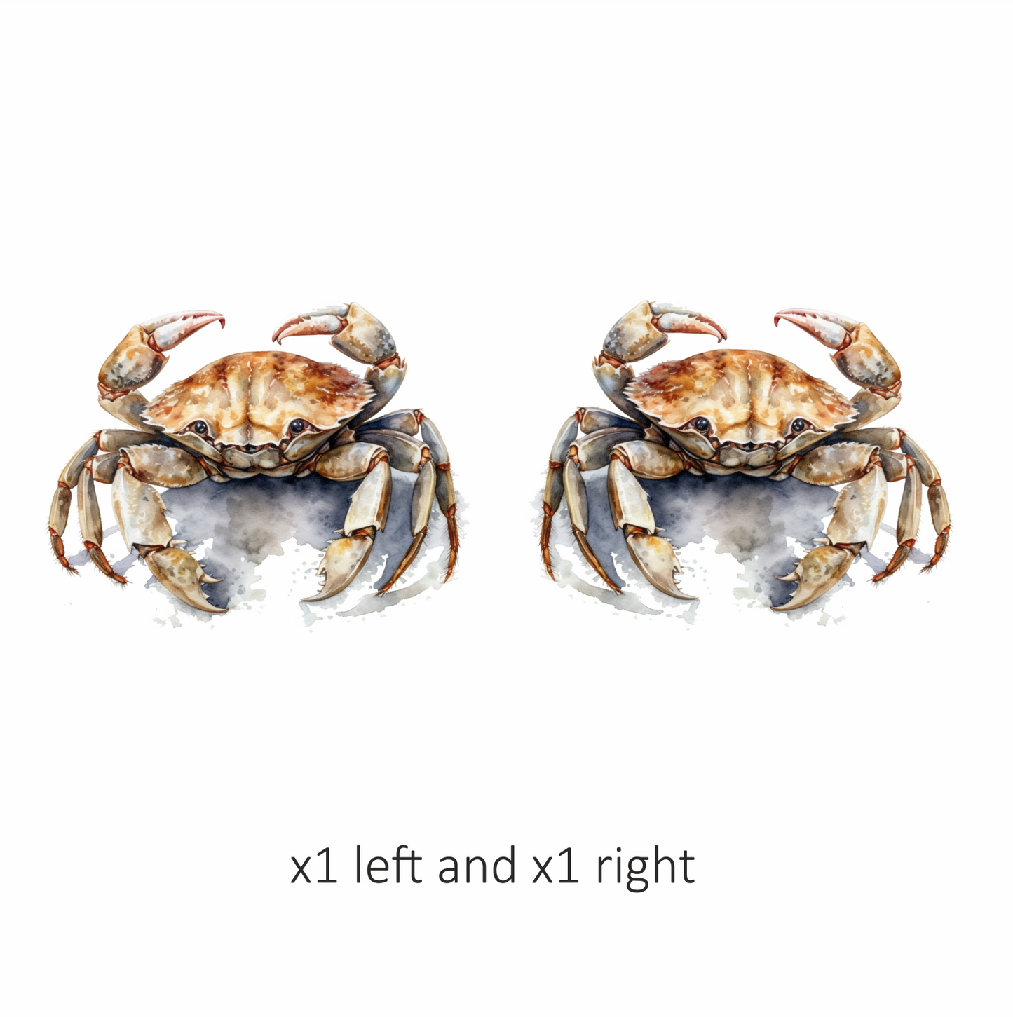 Crab Brown Animal Sea Vinyl Sticker Decal