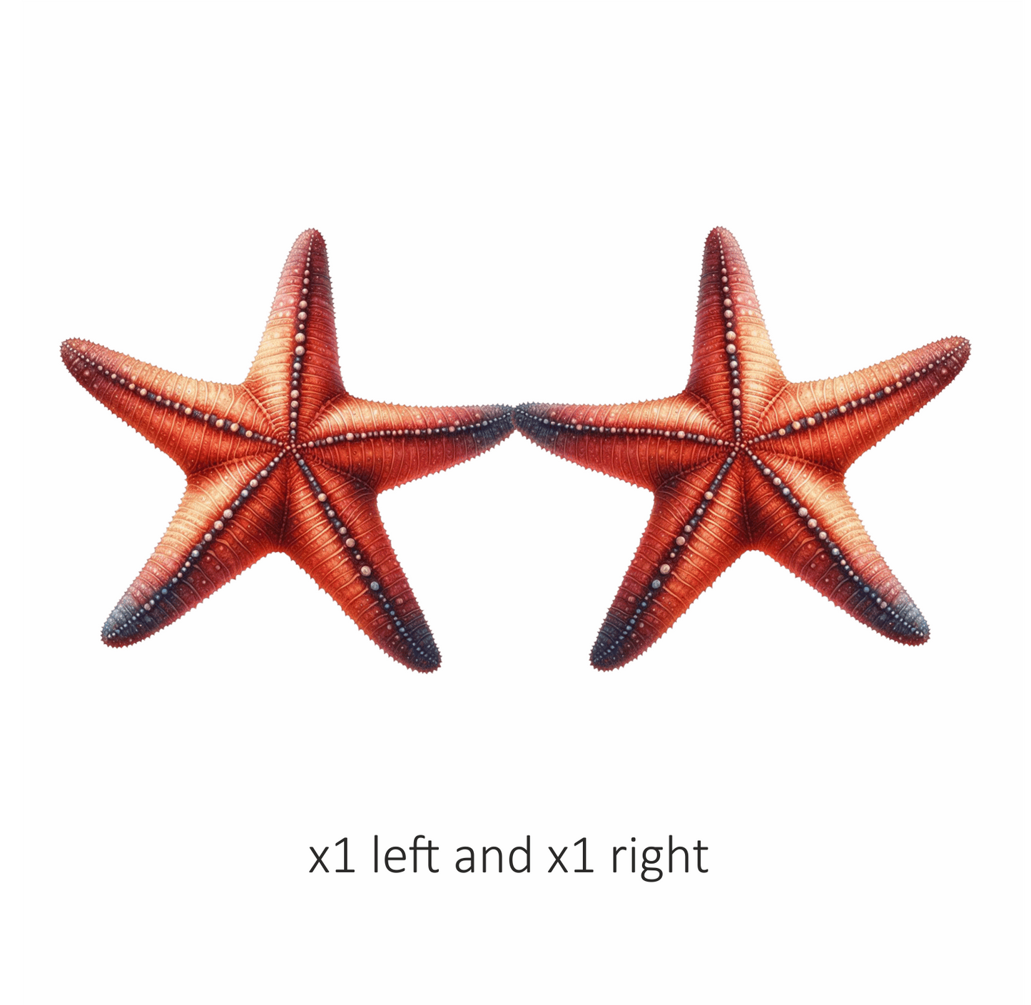 Red Starfish Vinyl Sticker Decal