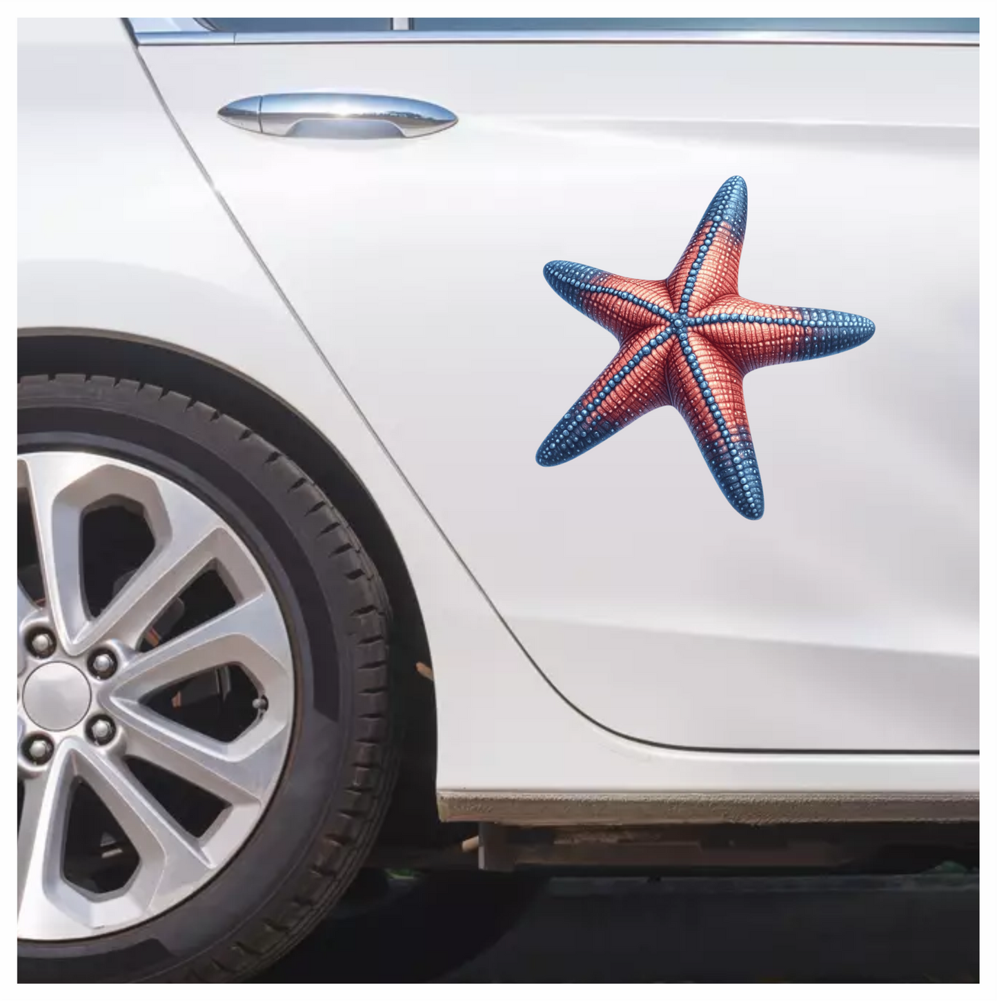 Starfish Red Blue Vinyl Sticker Decal