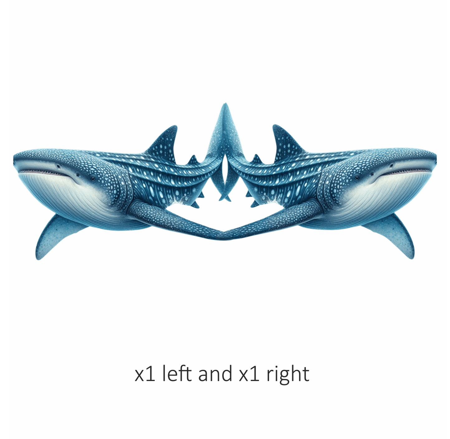 Whale Blue Whale Shark Large Ocean Vinyl Sticker Decal