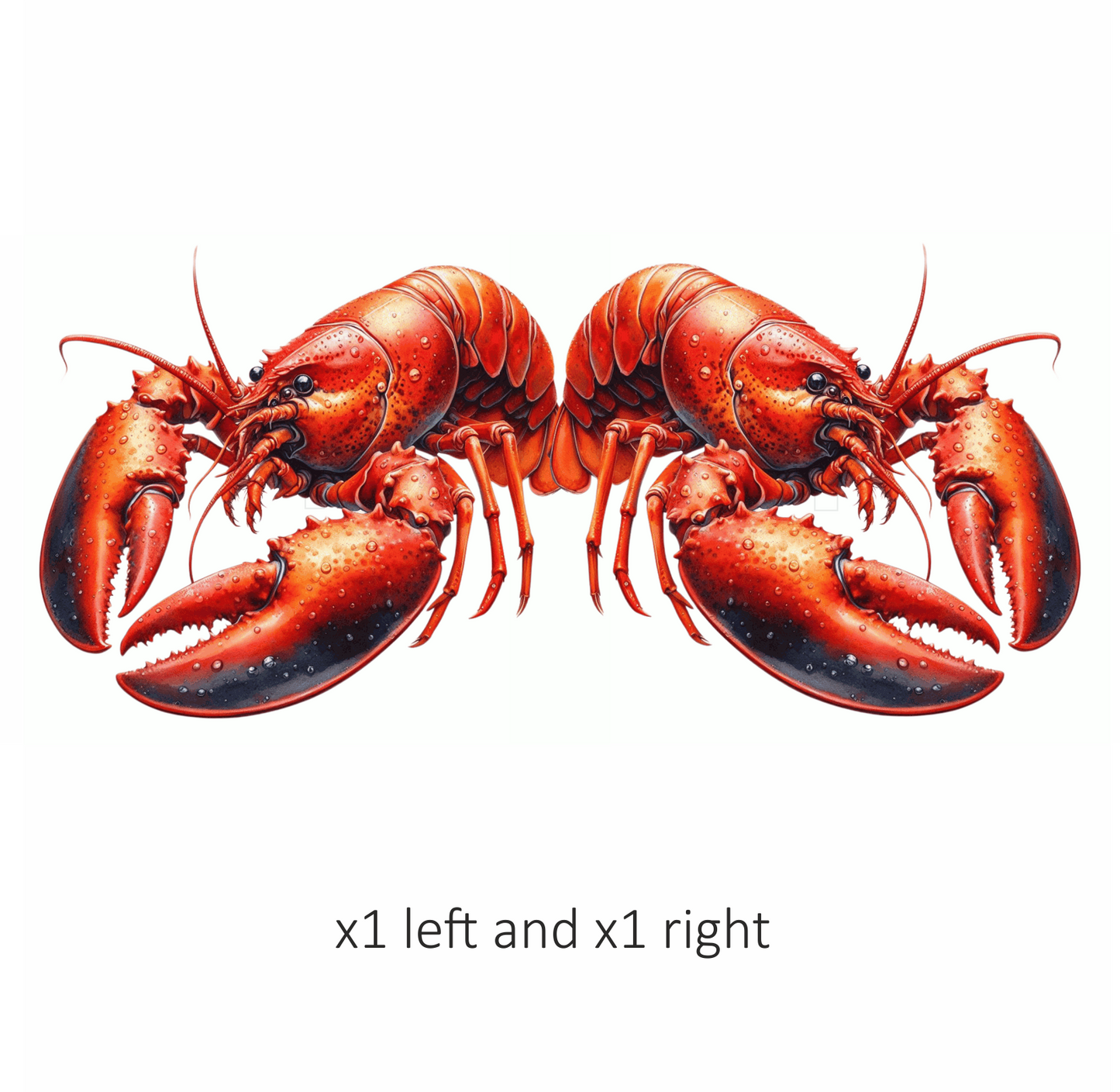 Red Lobster Crawling Vinyl Sticker Decal