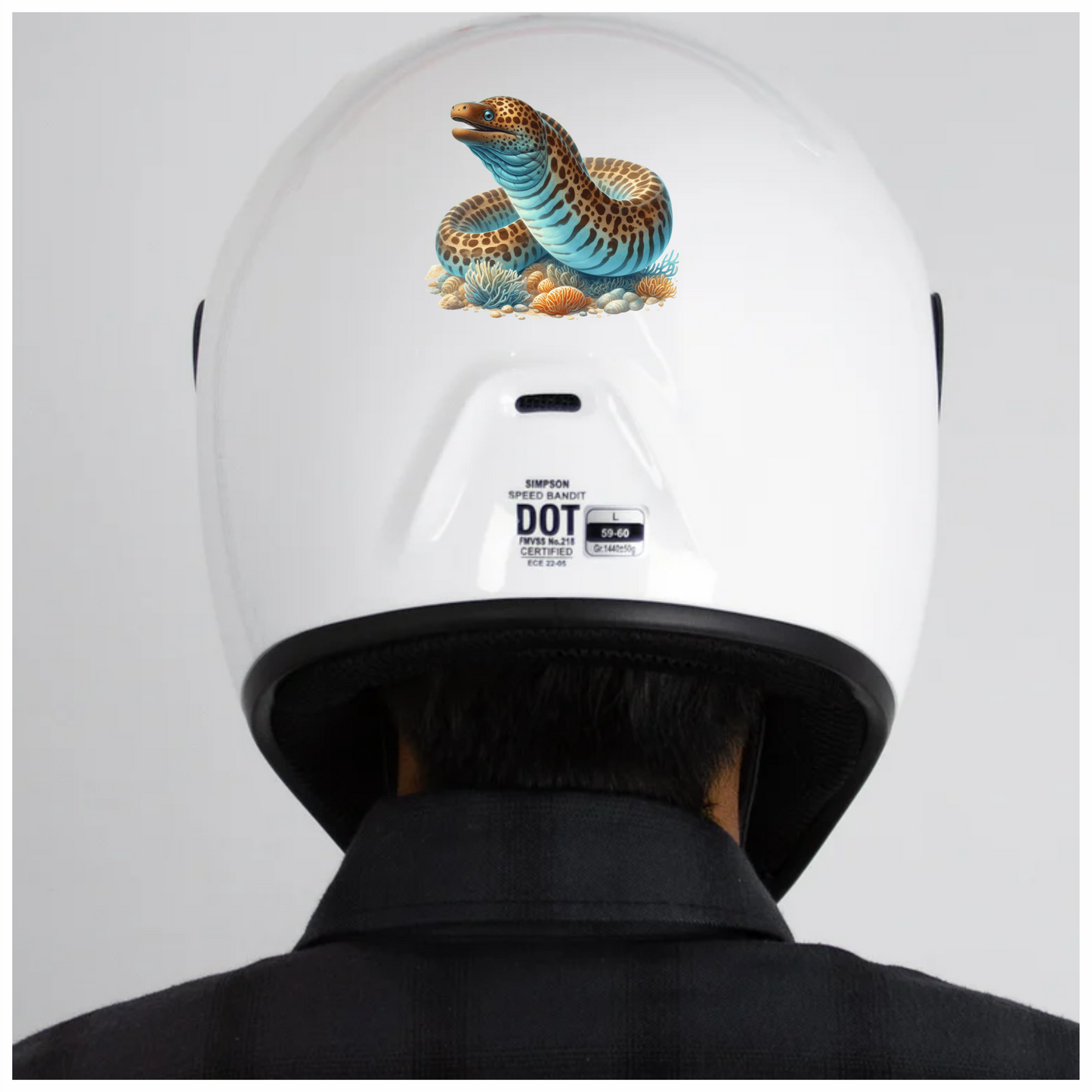 Blue Eel Fish Coral Reef Vinyl Sticker Decal
