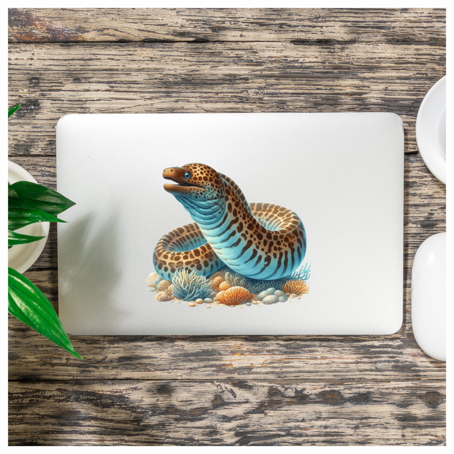 Blue Eel Fish Coral Reef Vinyl Sticker Decal
