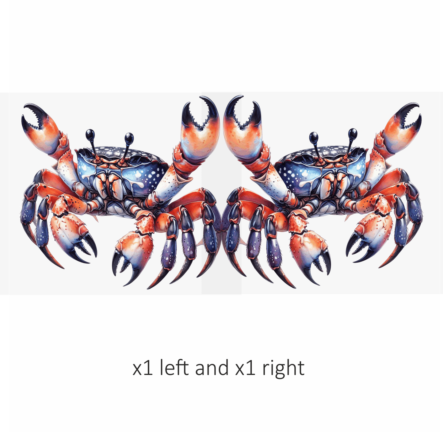 Crab Orange Blue Marine Vinyl Sticker Decal