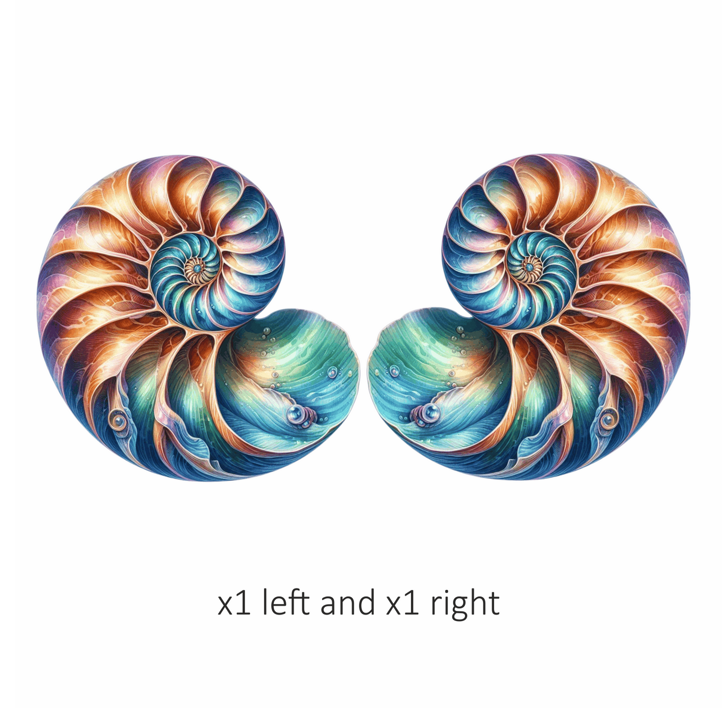 Shell Spiral Blue Nautilus Ocean Vinyl Sticker Decal