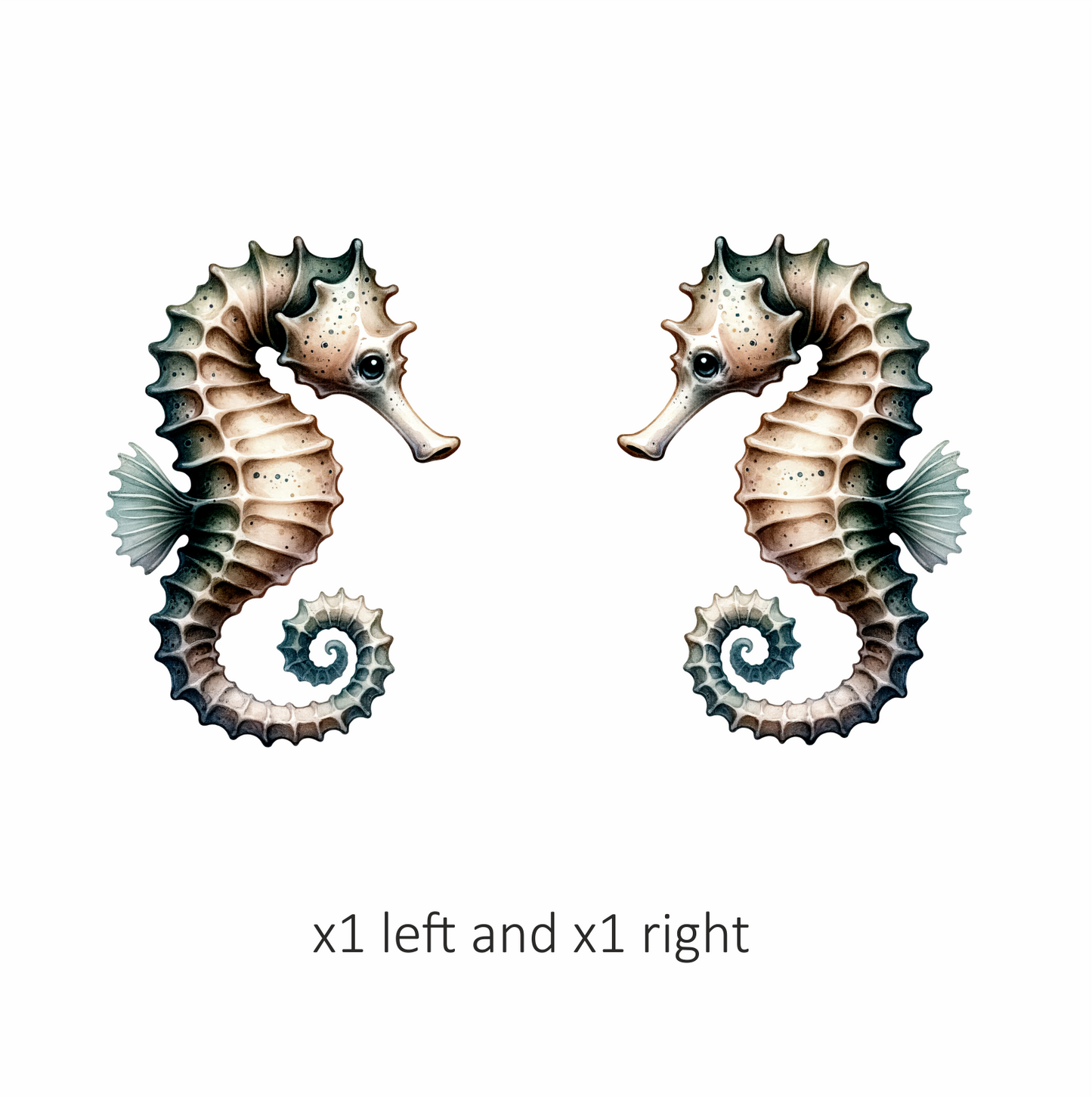Seahorse Brown White Spiral Tail Vinyl Sticker Decal