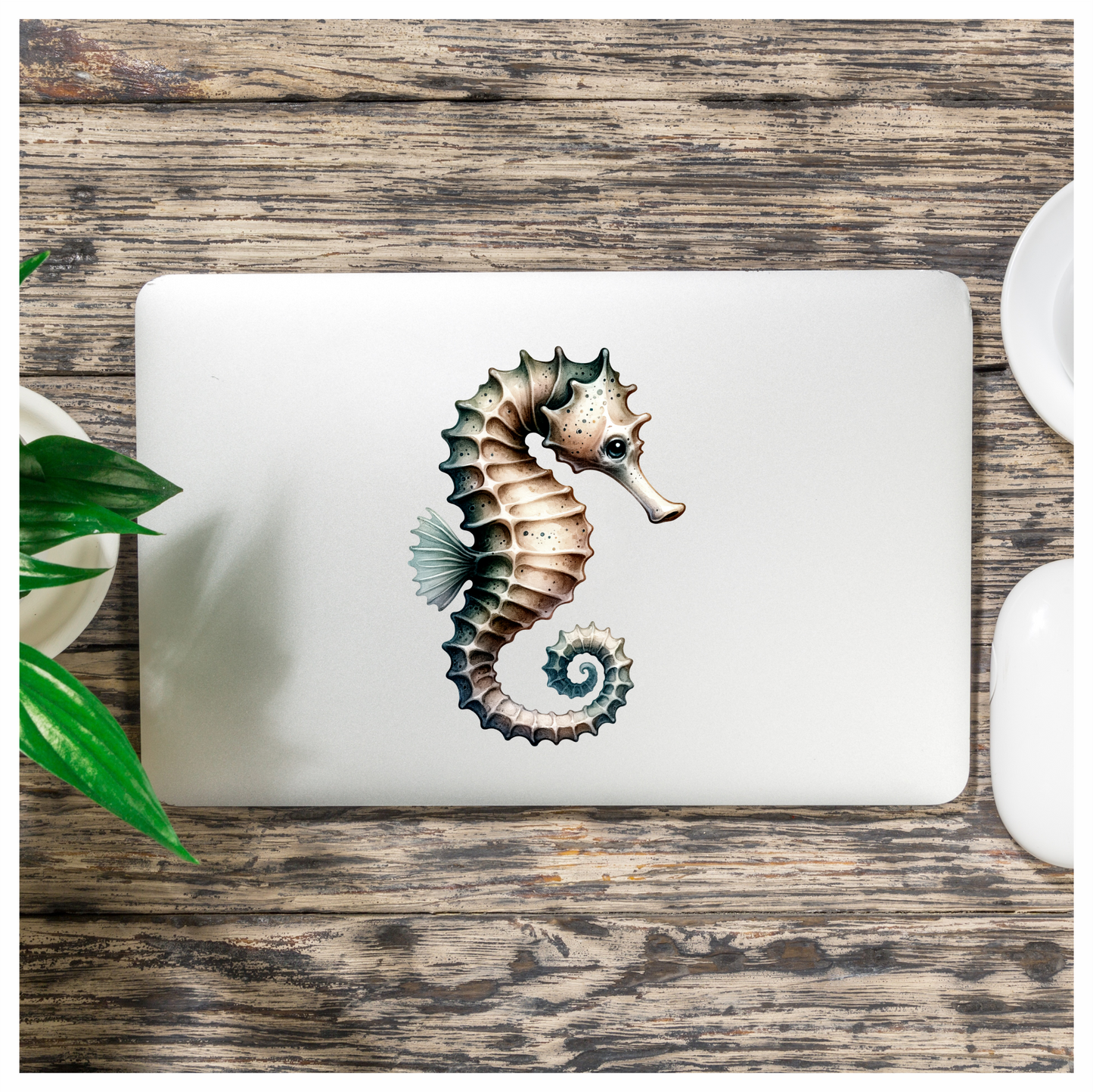 Seahorse Brown White Spiral Tail Vinyl Sticker Decal