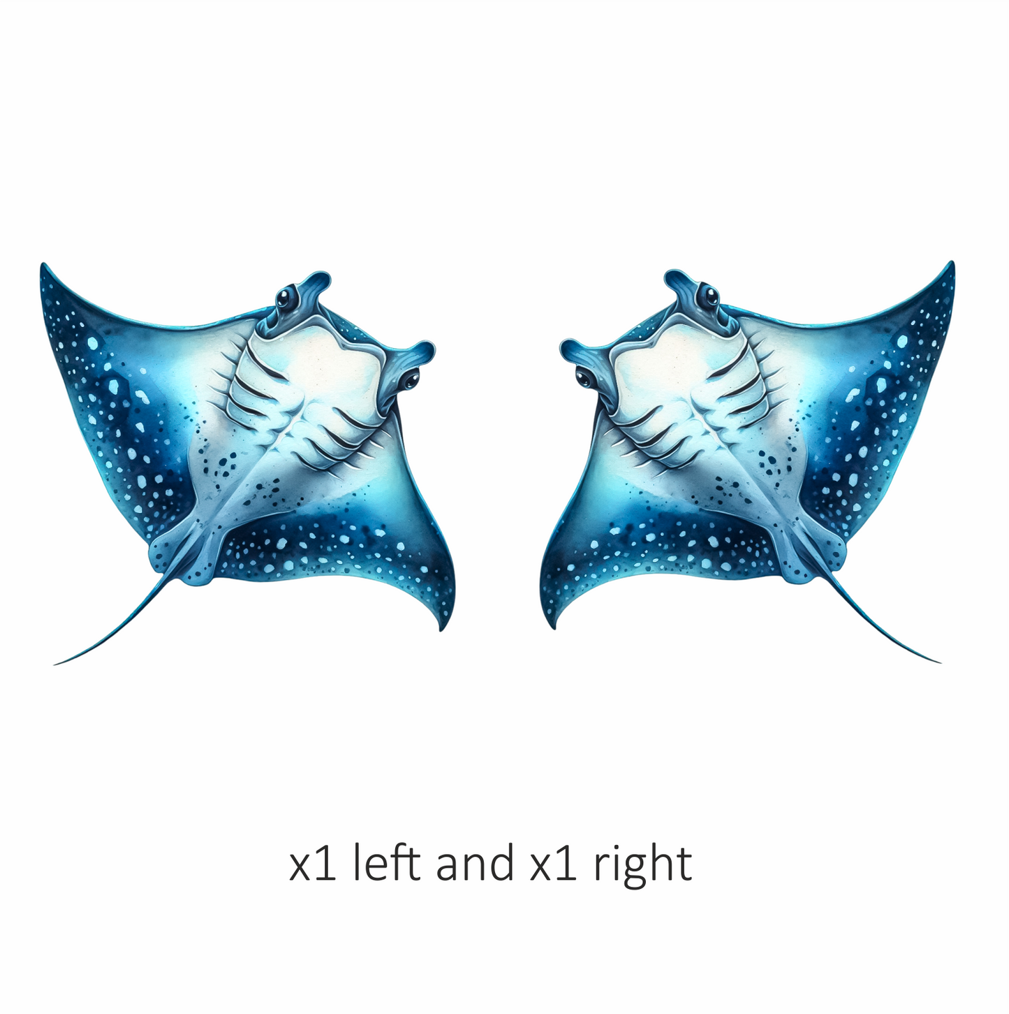 Blue Stingray Ocean Animal Vinyl Sticker Decal