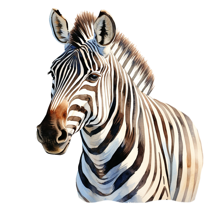 Zebra head and neck illustration on a white background vinyl sticker.