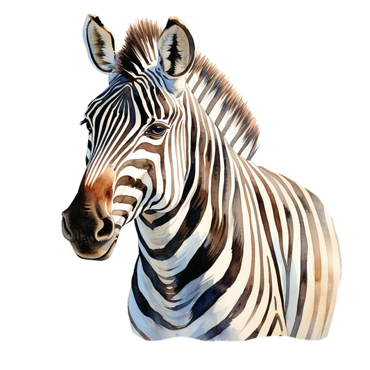 Zebra head and neck illustration on a white background vinyl sticker.