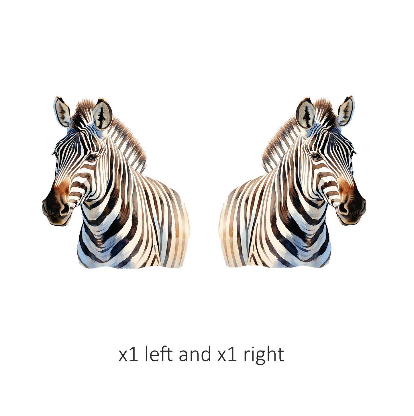 Zebra Breed Animal With Black Stripes Vinyl Decal Sticker