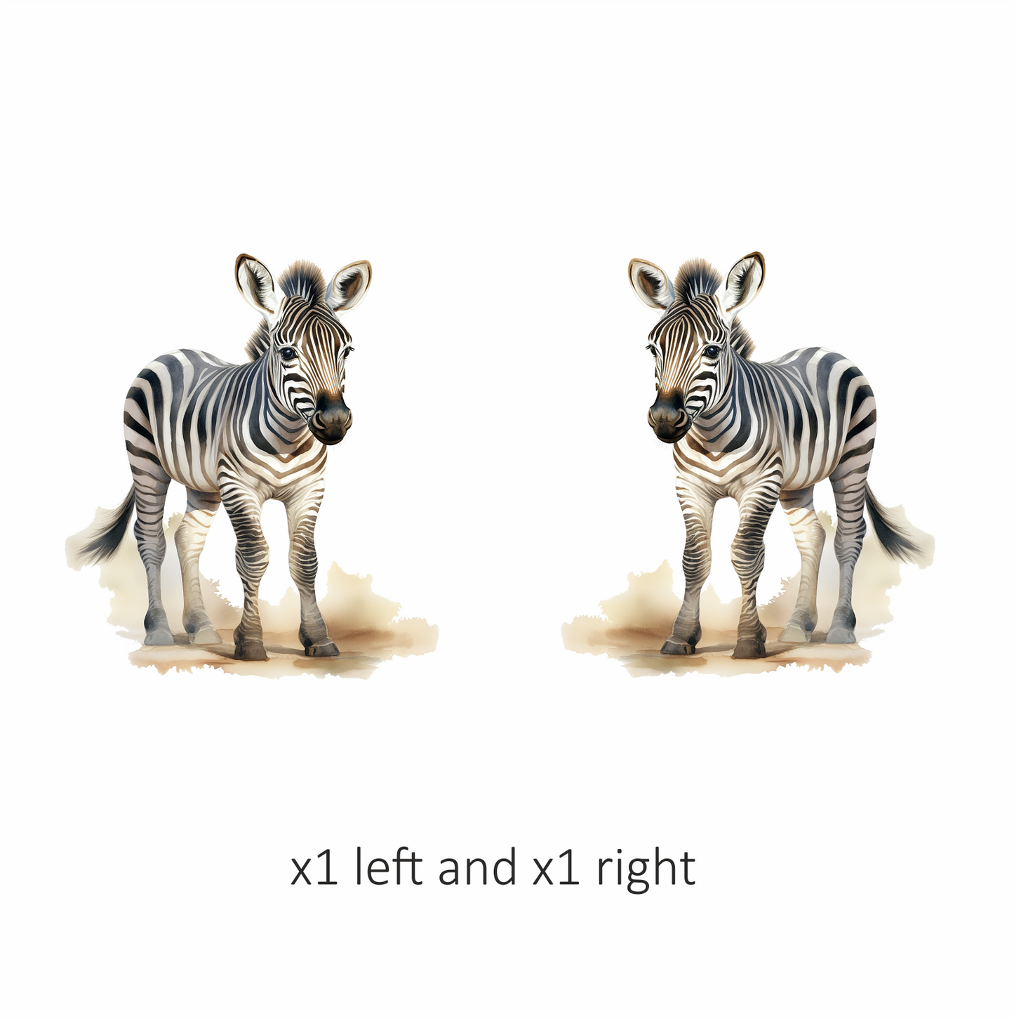 Plains Zebra Standing On Sand White Vinyl Decal Sticker