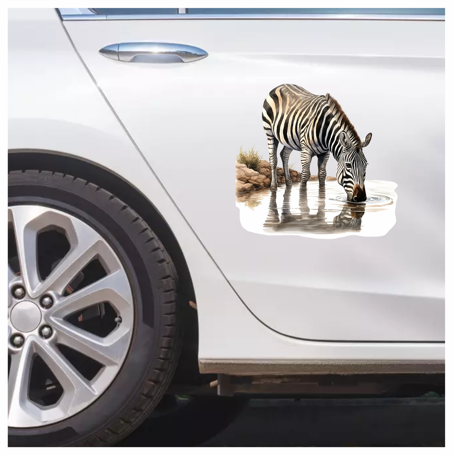 Zebra Drinking Clear Water Black Vinyl Decal Sticker