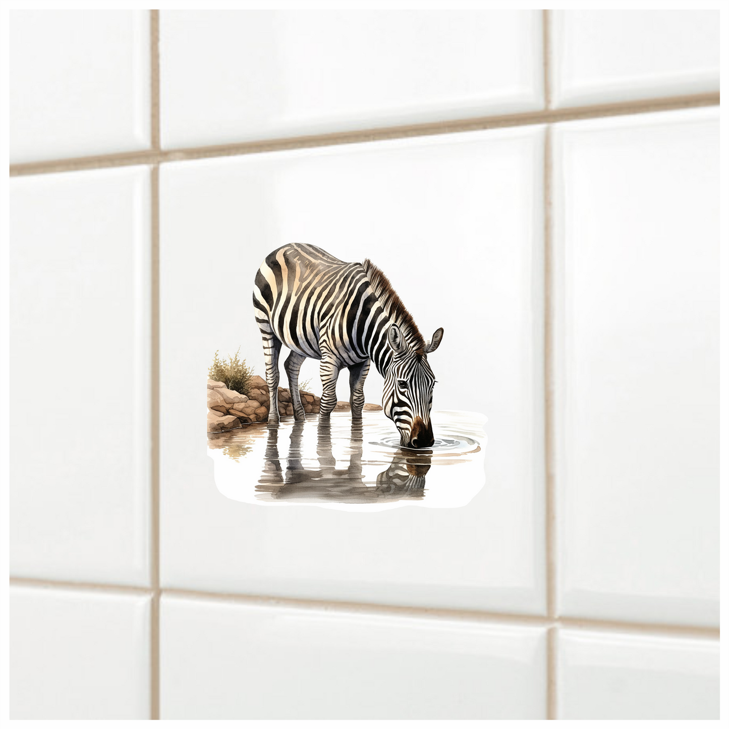 Zebra Drinking Clear Water Black Vinyl Decal Sticker