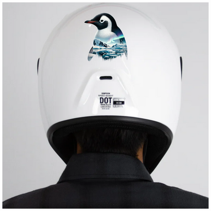 Black White Penguin Arctic Landscape Aurora Vinyl Sticker Decal