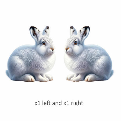 White Rabbit Sitting With Brown Eyes Vinyl Sticker Decal