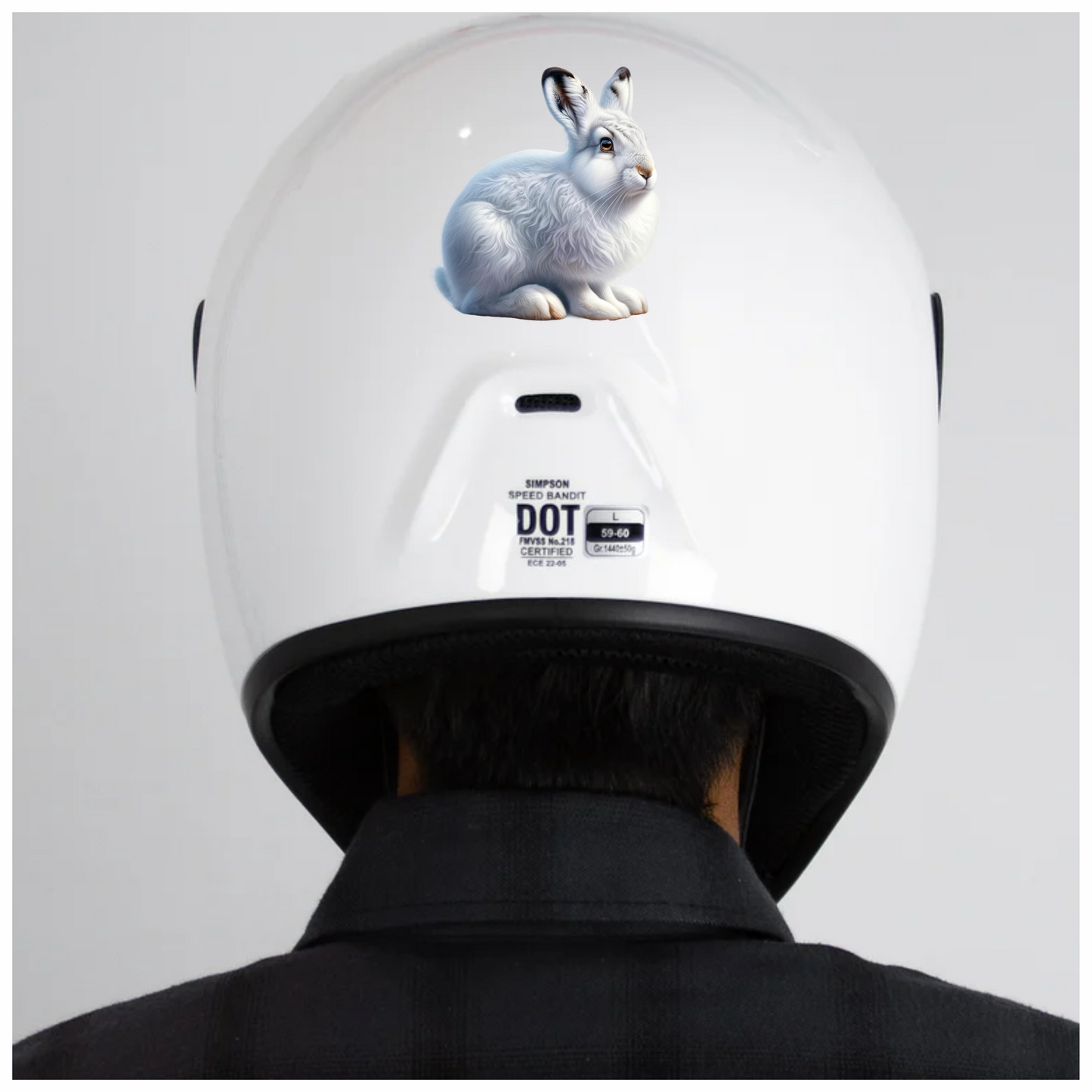 White Rabbit Sitting With Brown Eyes Vinyl Sticker Decal