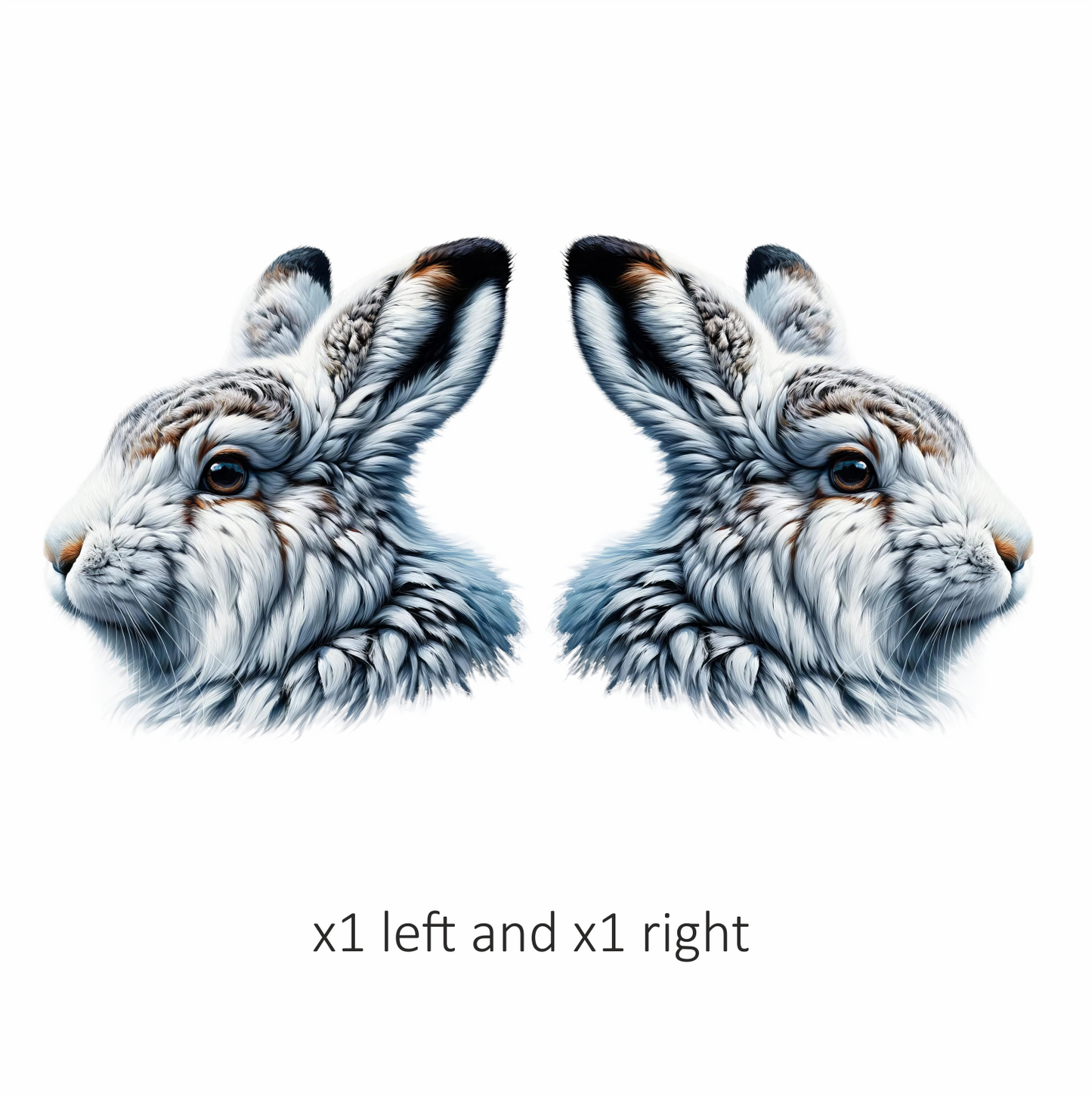 White Rabbit Face With Brown Markings Vinyl Sticker Decal