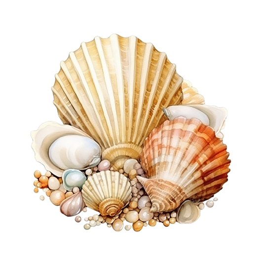 Brown Seashells With Pearls On Sand Vinyl Sticker Decal