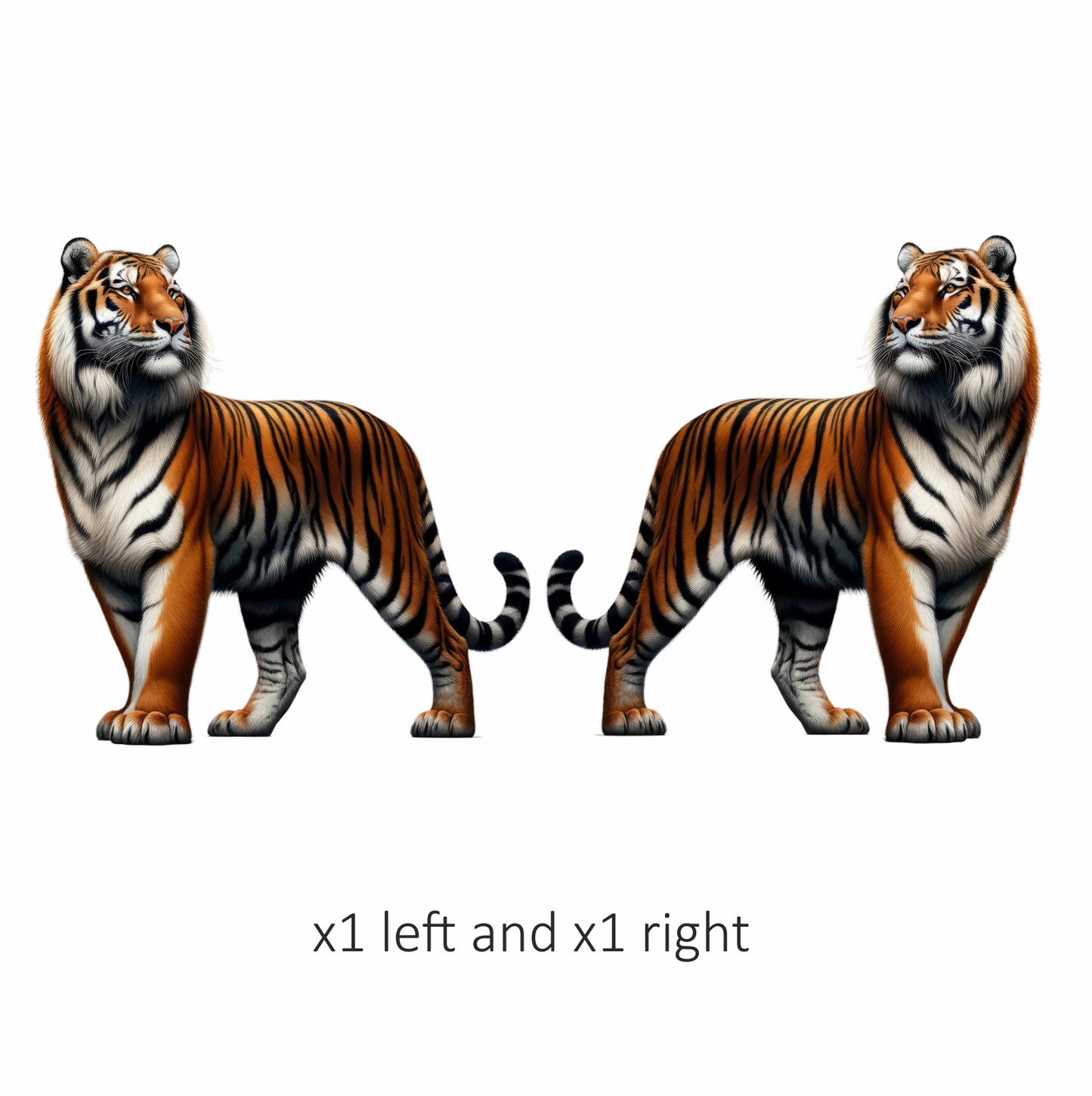 Orange Tiger With Black White Stripes Vinyl Sticker Decal