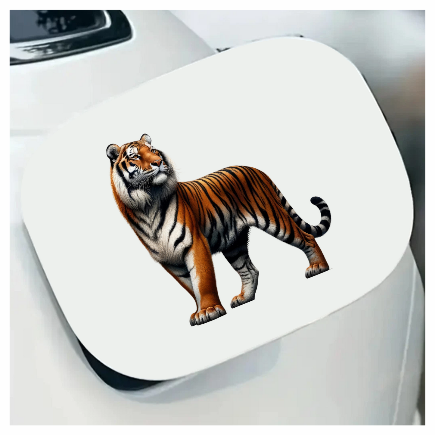 Orange Tiger With Black White Stripes Vinyl Sticker Decal