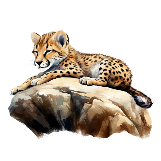 Brown Cheetah Cub Sleeping On Rock Vinyl Sticker Decal