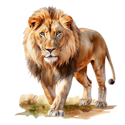 Golden Lion Walking On Green Grass Vinyl Sticker Decal