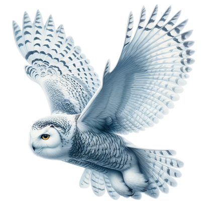 White Owl Flying With Spread Wings Vinyl Sticker Decal