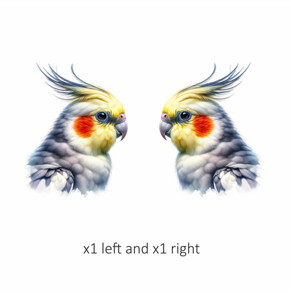 Grey Cockatiel Parrot With Orange Cheek Vinyl Sticker Decal